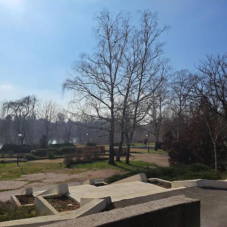 Апартаменты Bine Ati Venit La Maria Str Ion Alexandru Nr 1 Bl 14 Ap 1 Арад Экстерьер фото